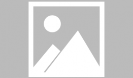 宫口漫画,揭秘宫廷秘闻，笑谈帝王生活