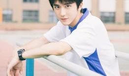 娱乐圈吃瓜爆料张新成,揭秘背后的真相与争议